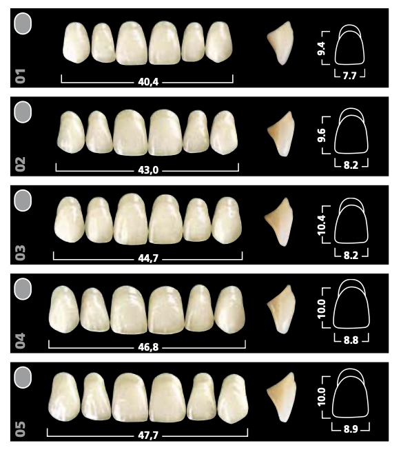 Tribos 501 Фронтальные верхние Акриловые зубы (размер R14 цвет А2) R14-A2
