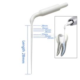 Dental Endodontics Tips For Root Canal (2pcs) 