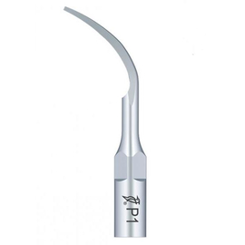 Nozzle P1 for scaler Woodpecker (Woodpecker), 1 pc. 